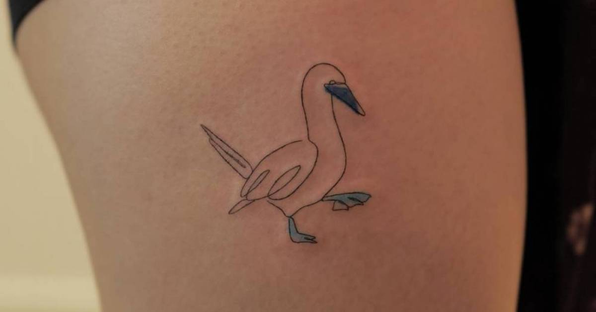 Blue Footed Booby Tattoos | Tattoofilter