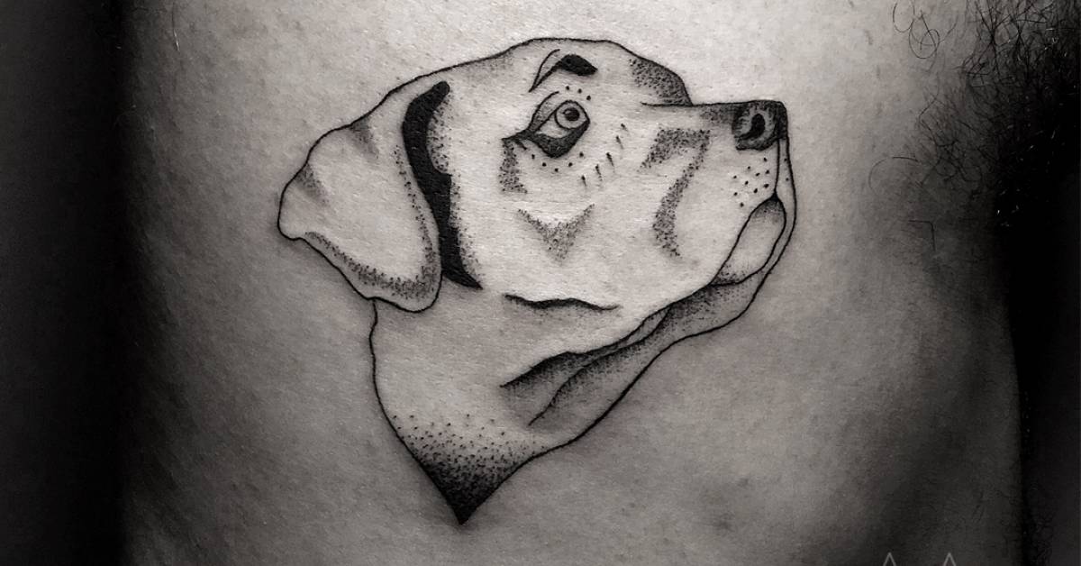 Лабрадор тату эскиз