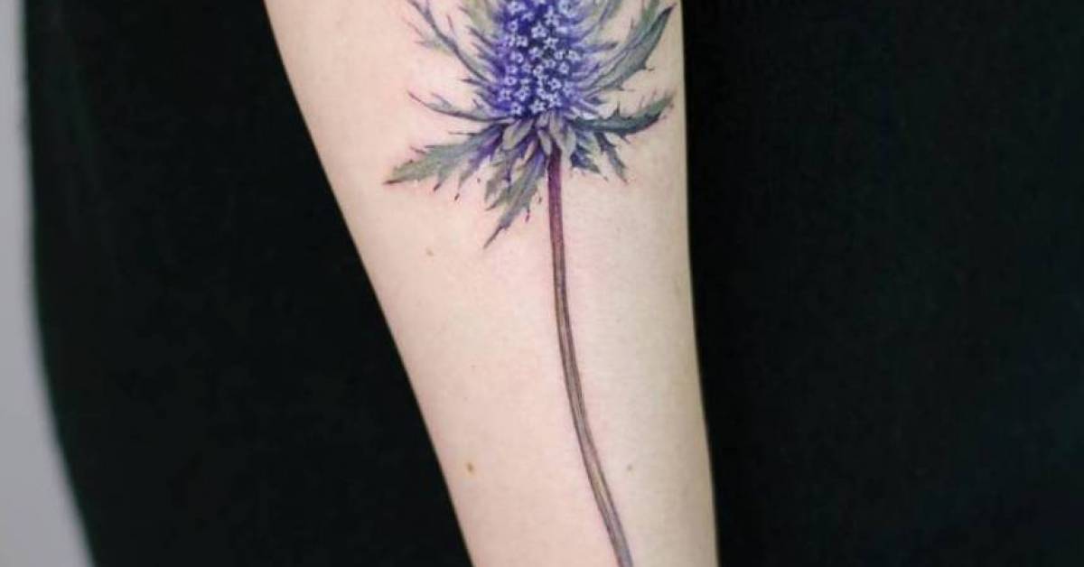 Eryngium Tattoos Tattoofilter