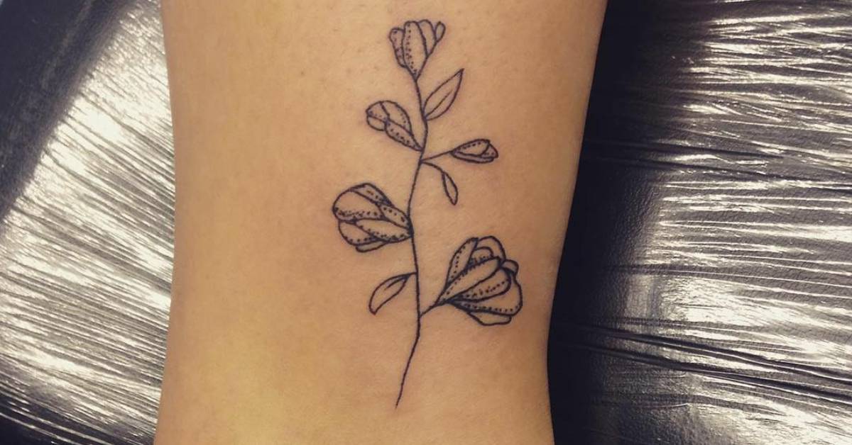 ankle tattoo of a sweet pea ankle tattoo of a sweet pea