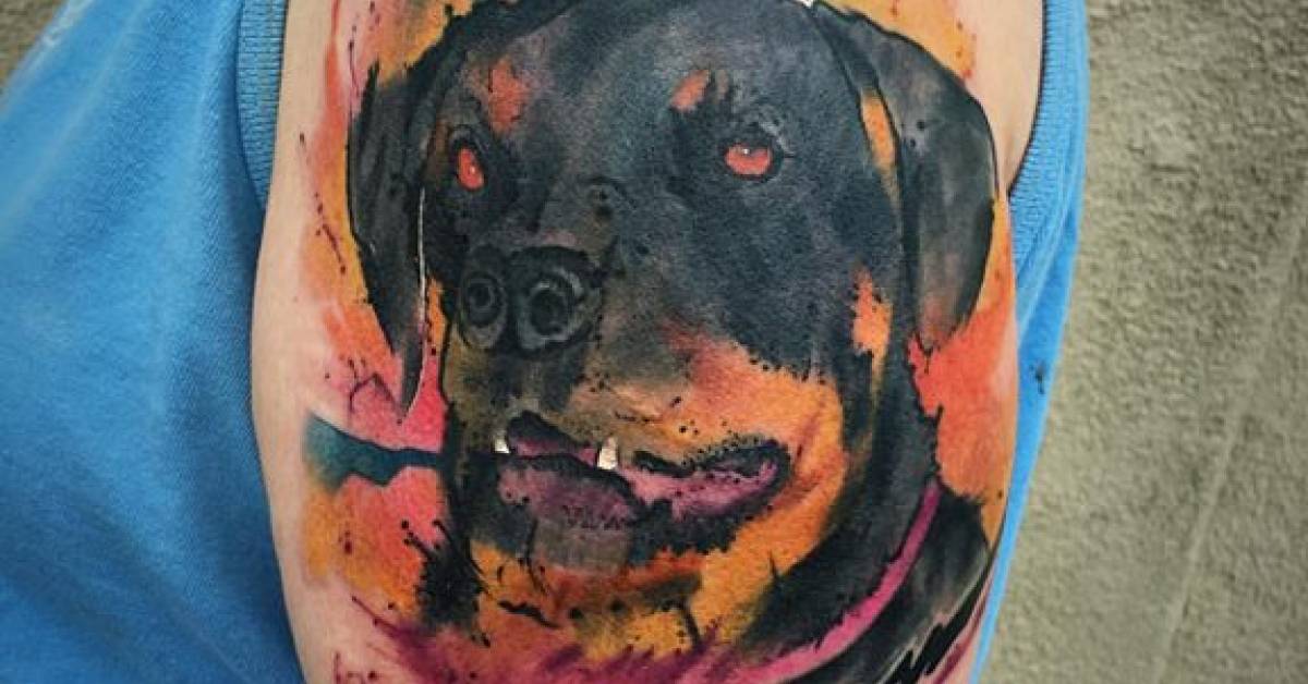 rottweiler tattoos tattoo collections rottweiler tattoos tattoo collections