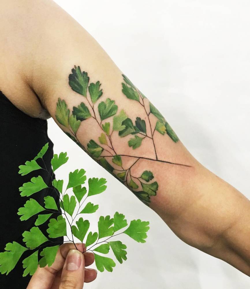 Adiantum also Known As Maidenhair Fern Tattoo On The Adiantum also Known As Maidenhair Fern Tattoo On The