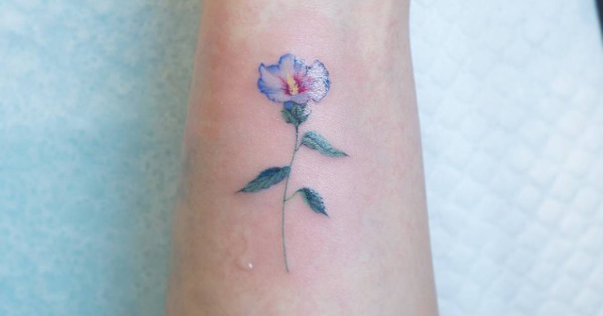 Watercolor style rose of Sharon tattoo on the forearm.