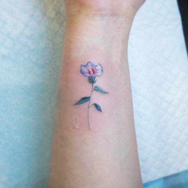 Watercolor style rose of Sharon tattoo on the forearm.