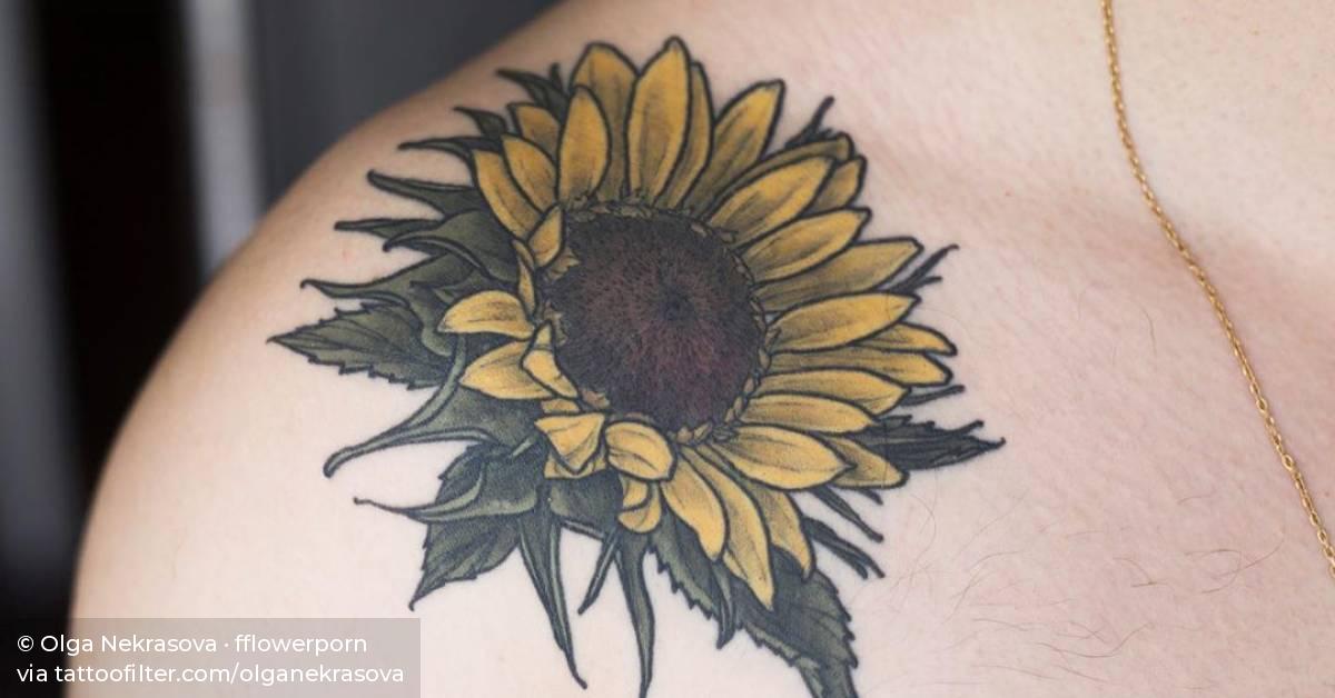 Healed sunflower I did a year ago. Thank you Tim for