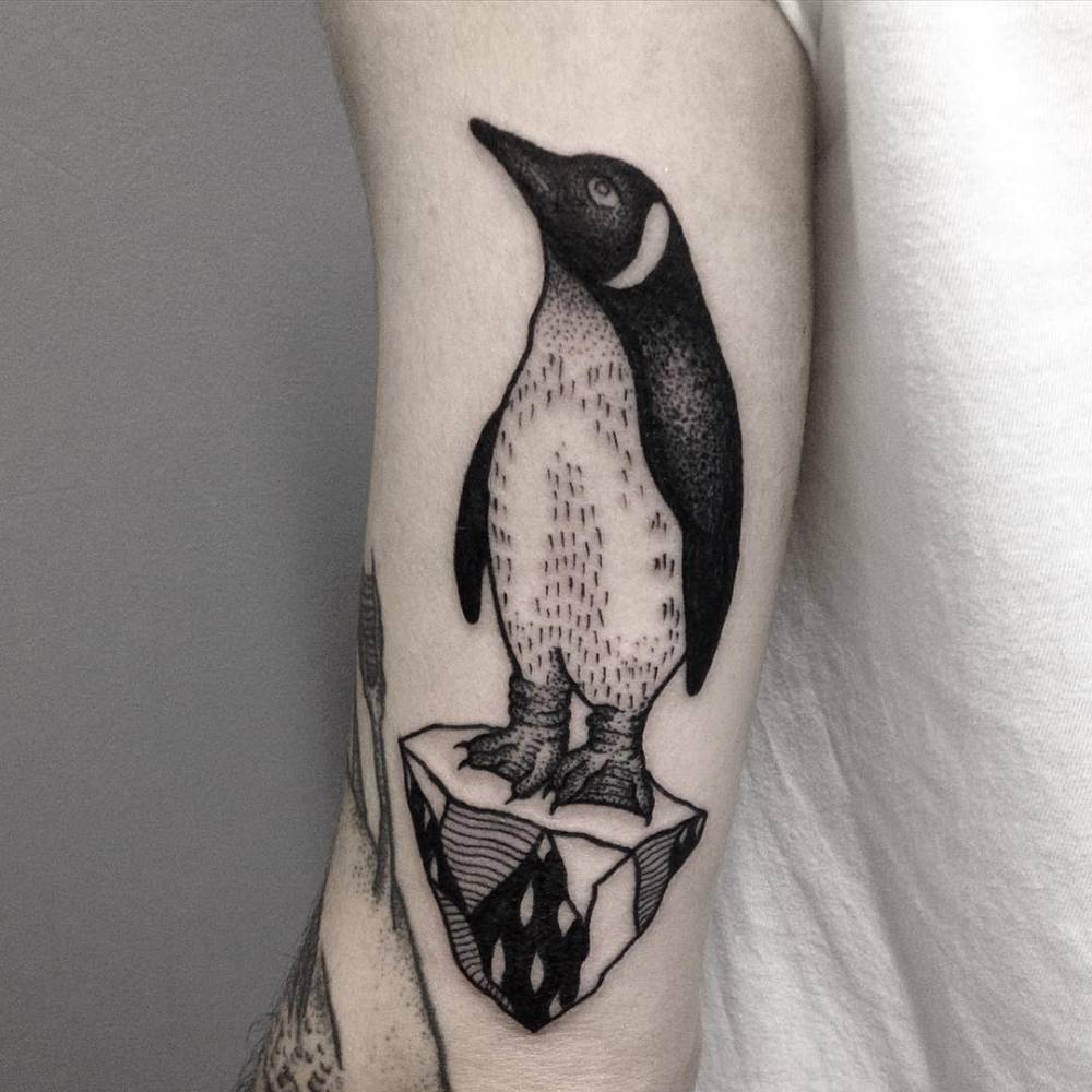 Neotraditional/blackwork style penguin tattoo on the tricep.