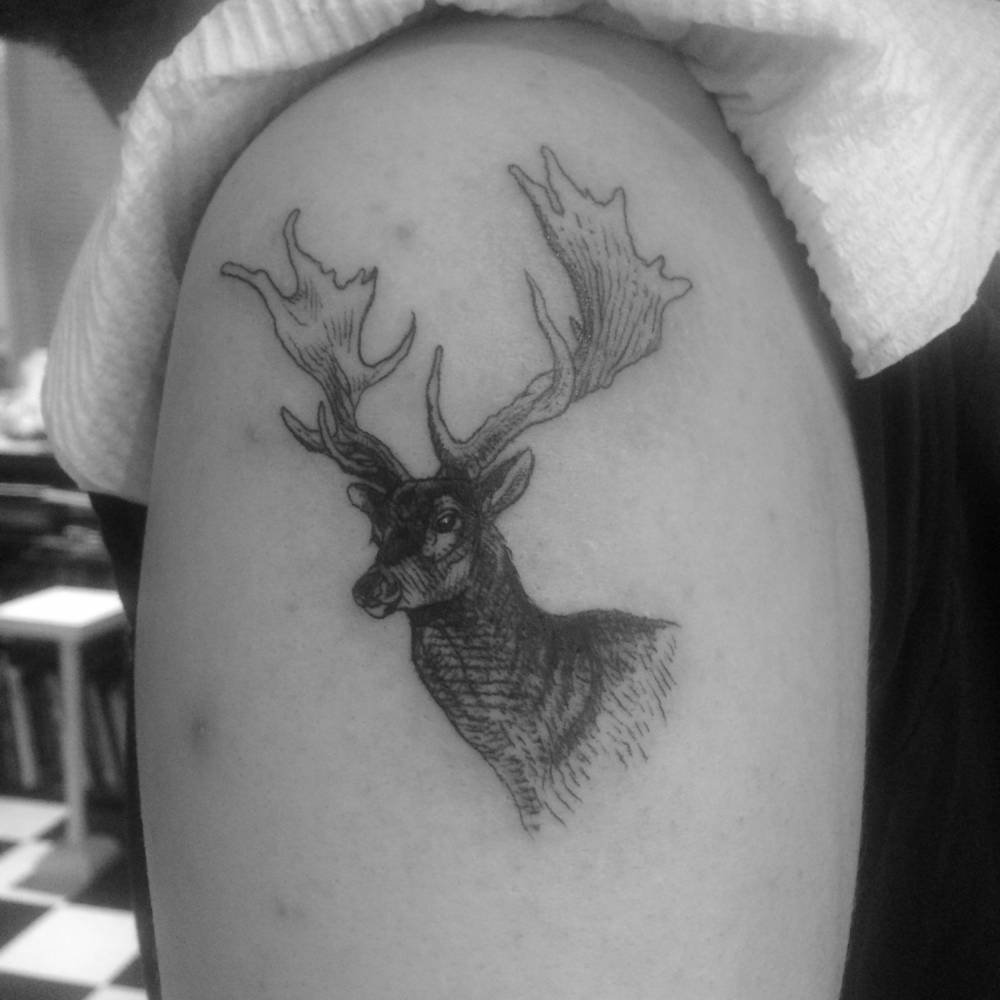 Deer by Alexandyr Valentine