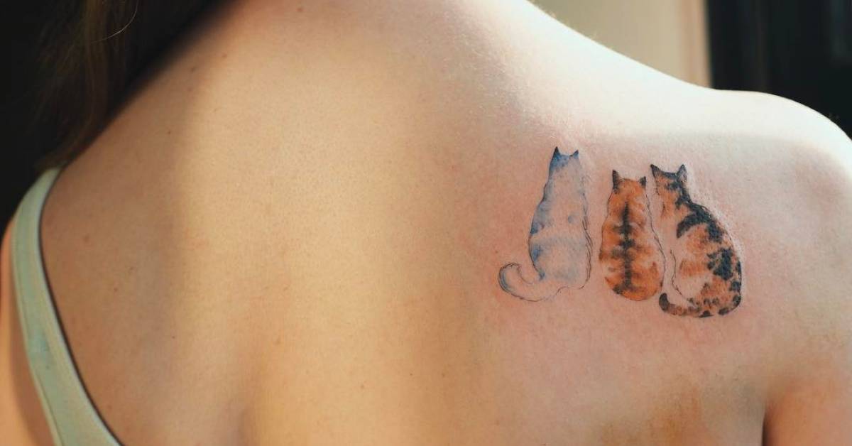 Three cats on the right shoulder blade.