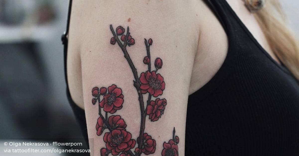 Plum blossom branch tattoo on the right upper arm.