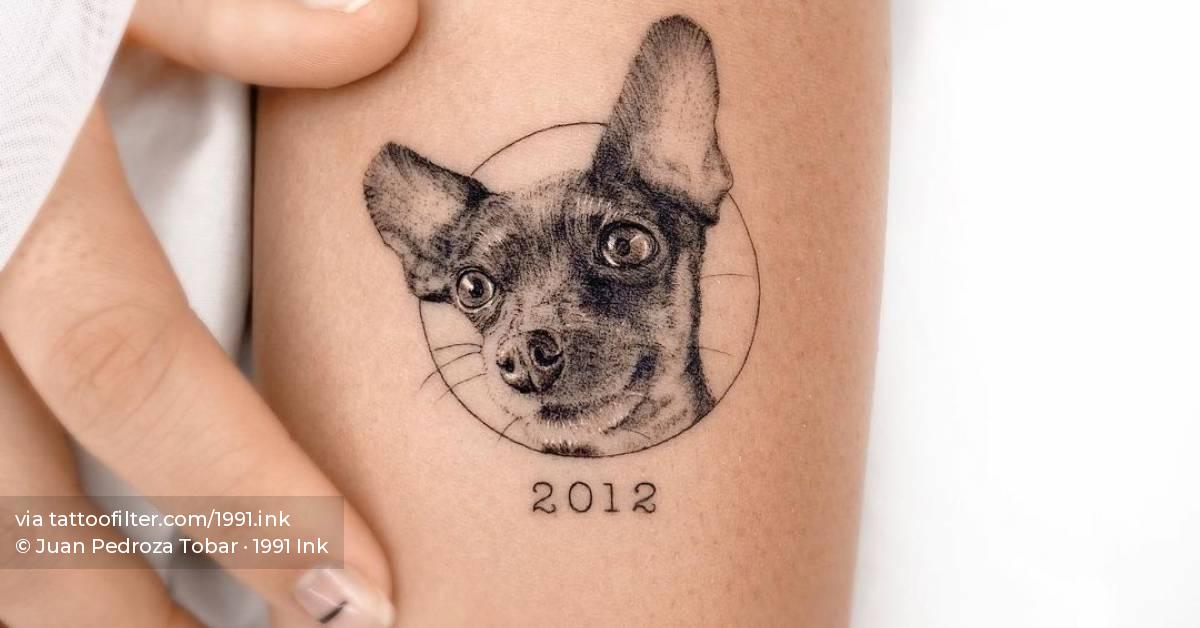 Microrealistic pinscher tattoo on the inner forearm.