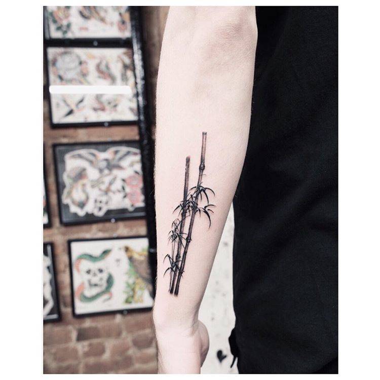 Minimalist Bamboo Tattoo Bronctattooaus Minimalist Bamboo Tattoo Bronctattooaus