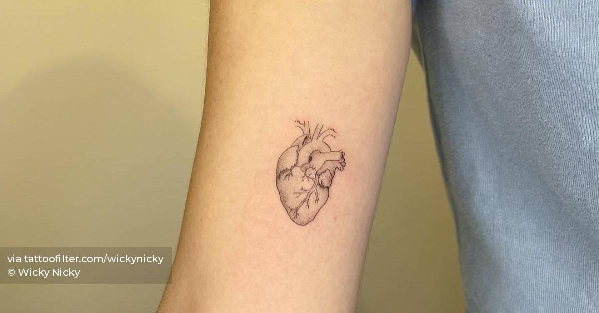 Fine line anatomical heart tattoo on the inner arm.