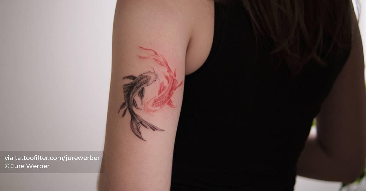 Koi fish with black and red ink