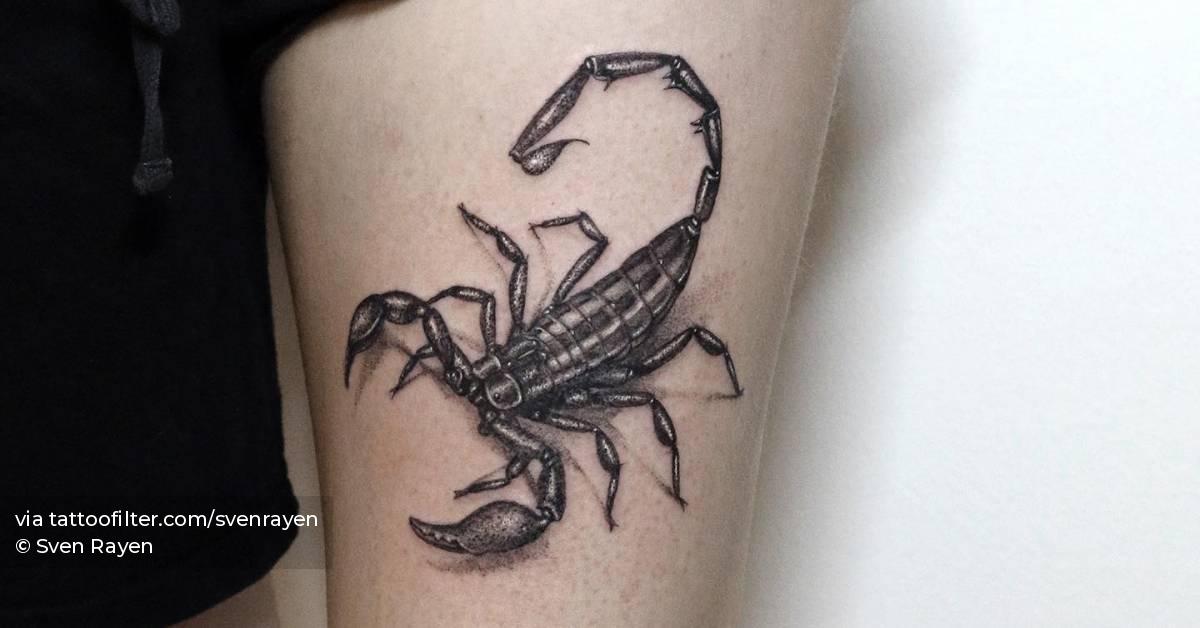 Black Emperor Scorpion Tattoos Tattoo Ideas Daily 🔥 Scorpion