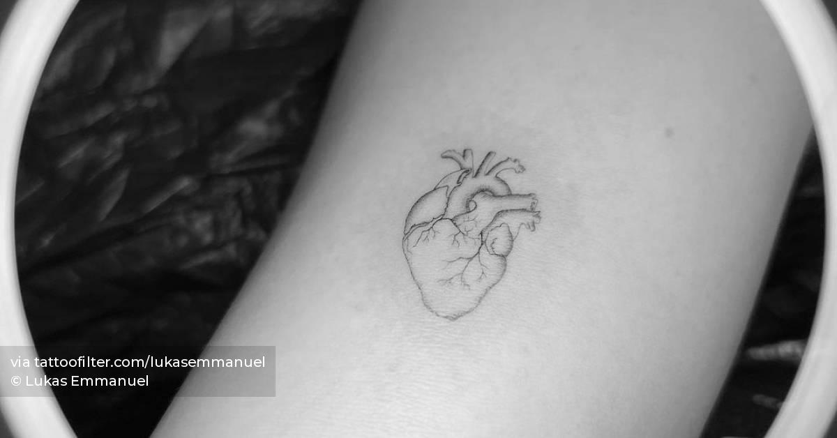 Fine line anatomical heart tattoo located on the inner