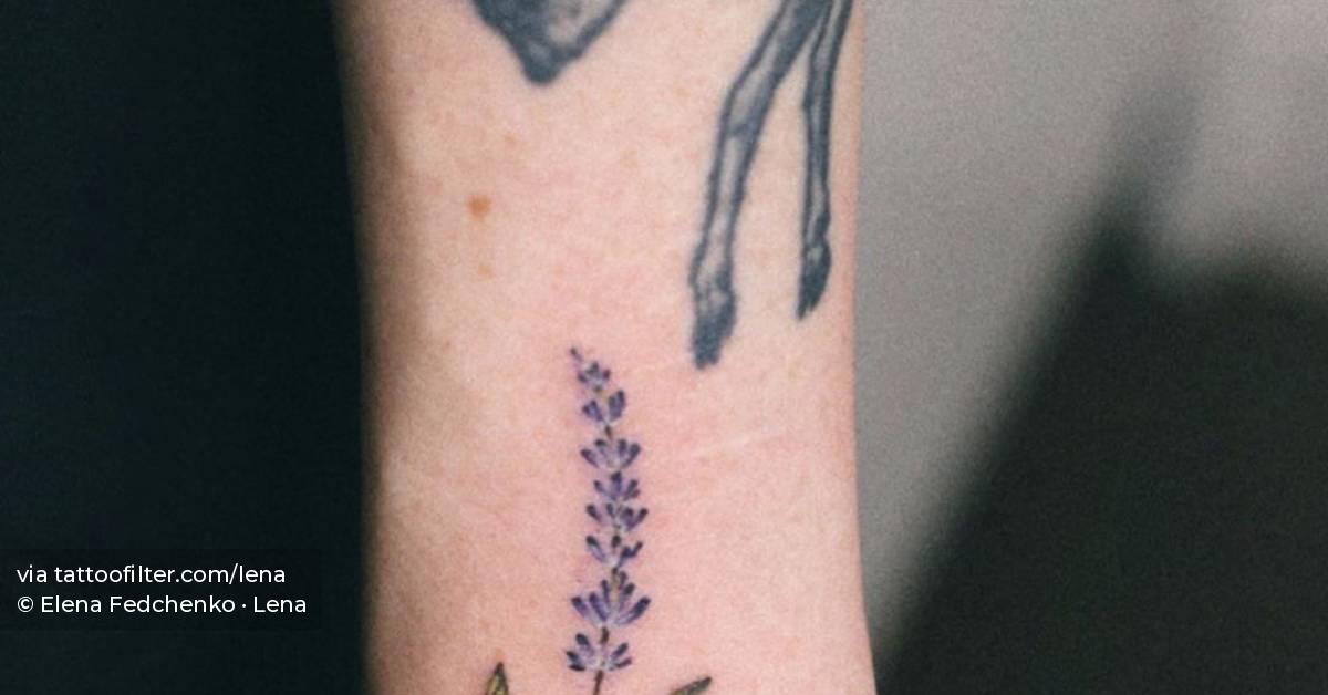 Лавандыш) Люблю, когда всякие