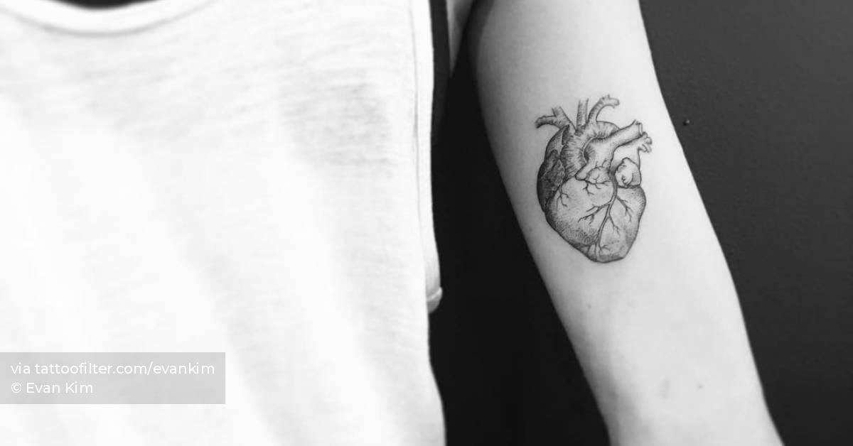 Tattoo of an anatomical heart located on the inner arm.