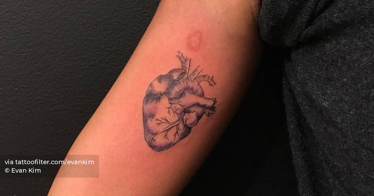 Anatomical heart tattoo located on the inner arm.