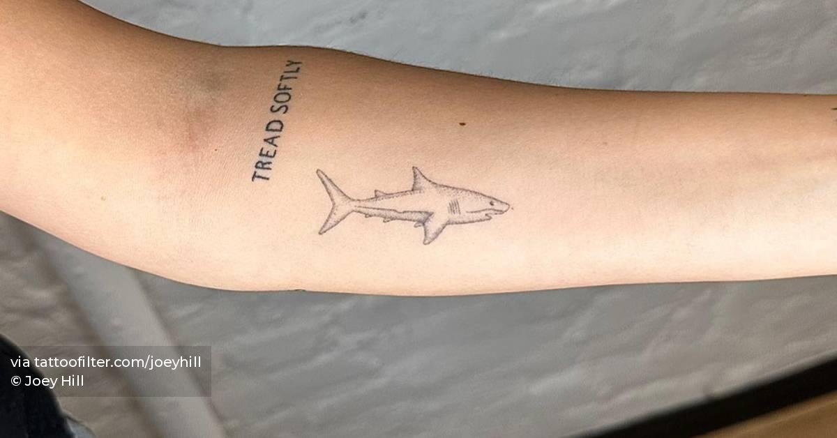 Healed shark tattoo located on the inner forearm.