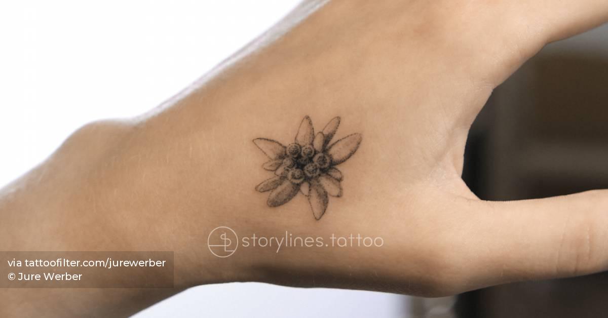 Edelweiss Tattoo Edelweiss Tattoo Edelweiss Flower