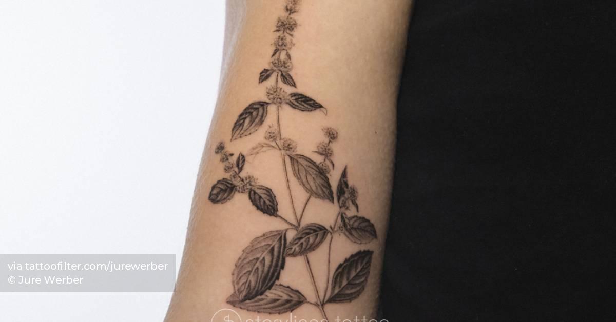 Realistic mint tattoo.