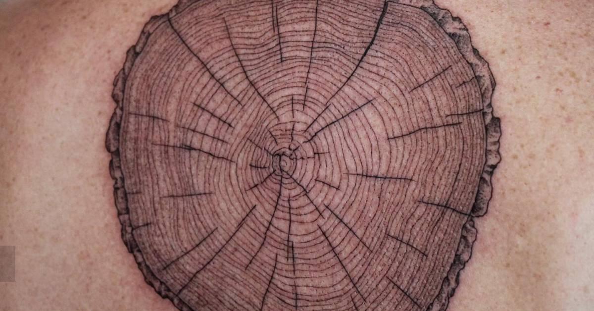 Tree stump tattoo located on the upper back,