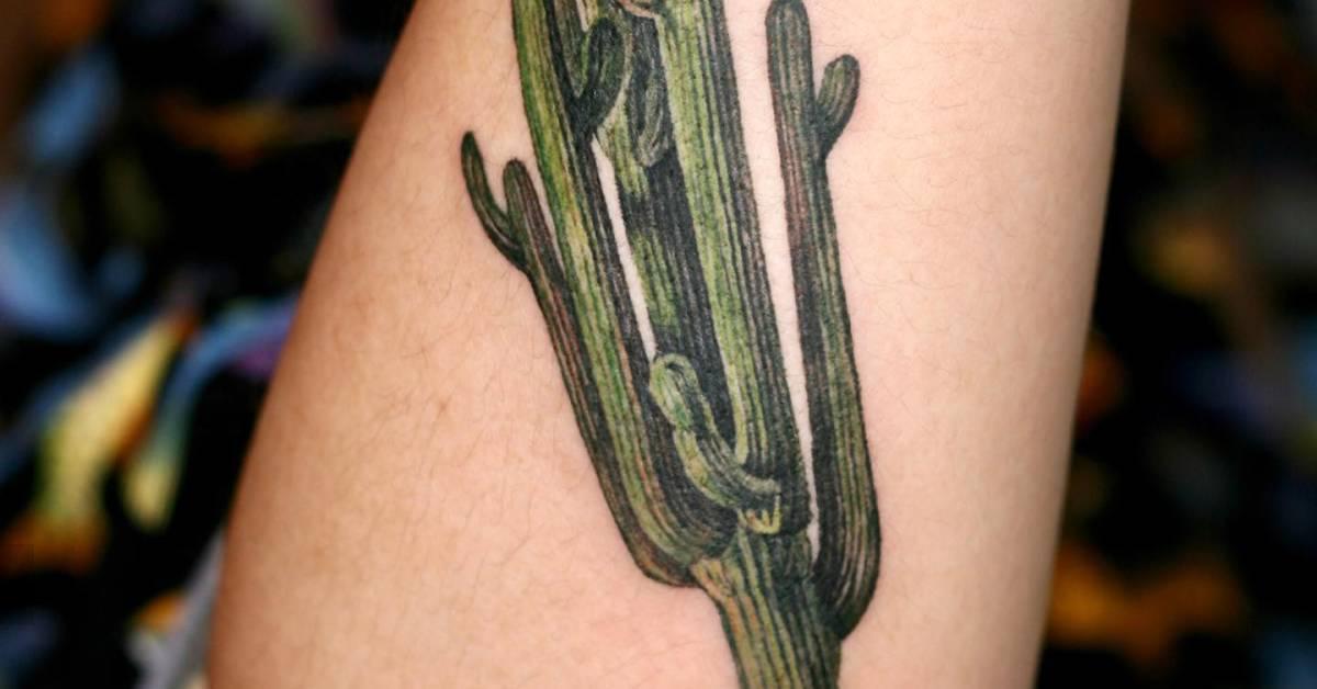 Watercolor style saguaro tattoo done on the forearm.