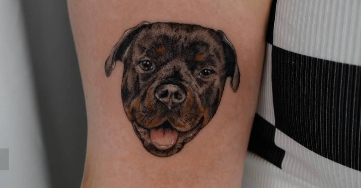 micro-realistic-style-rottweiler-portrait-tattoo