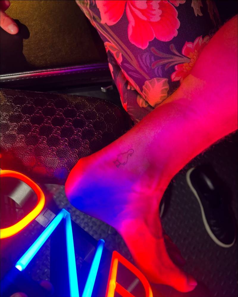 Little duck tattoo in minimalistic style located on the ankle.