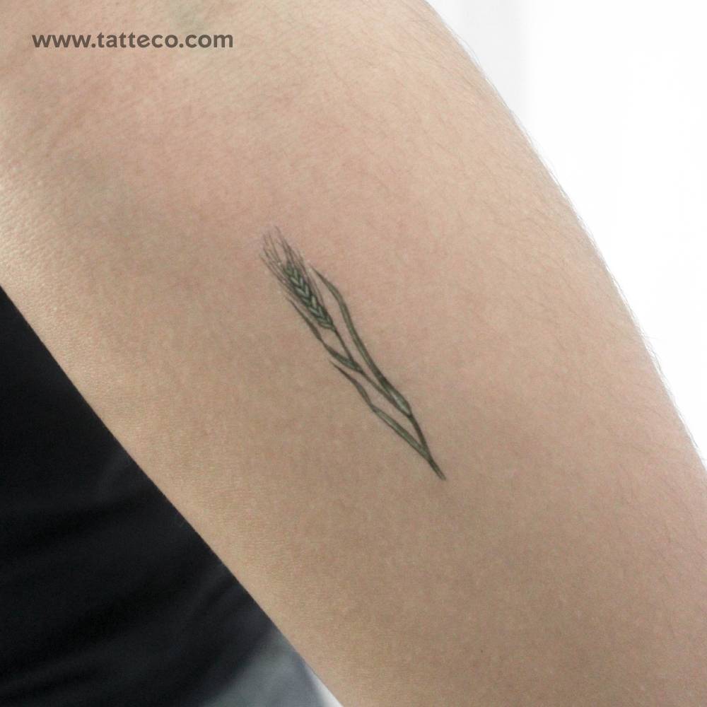 Small green wheat by Ann Lilya temporary tattoo.