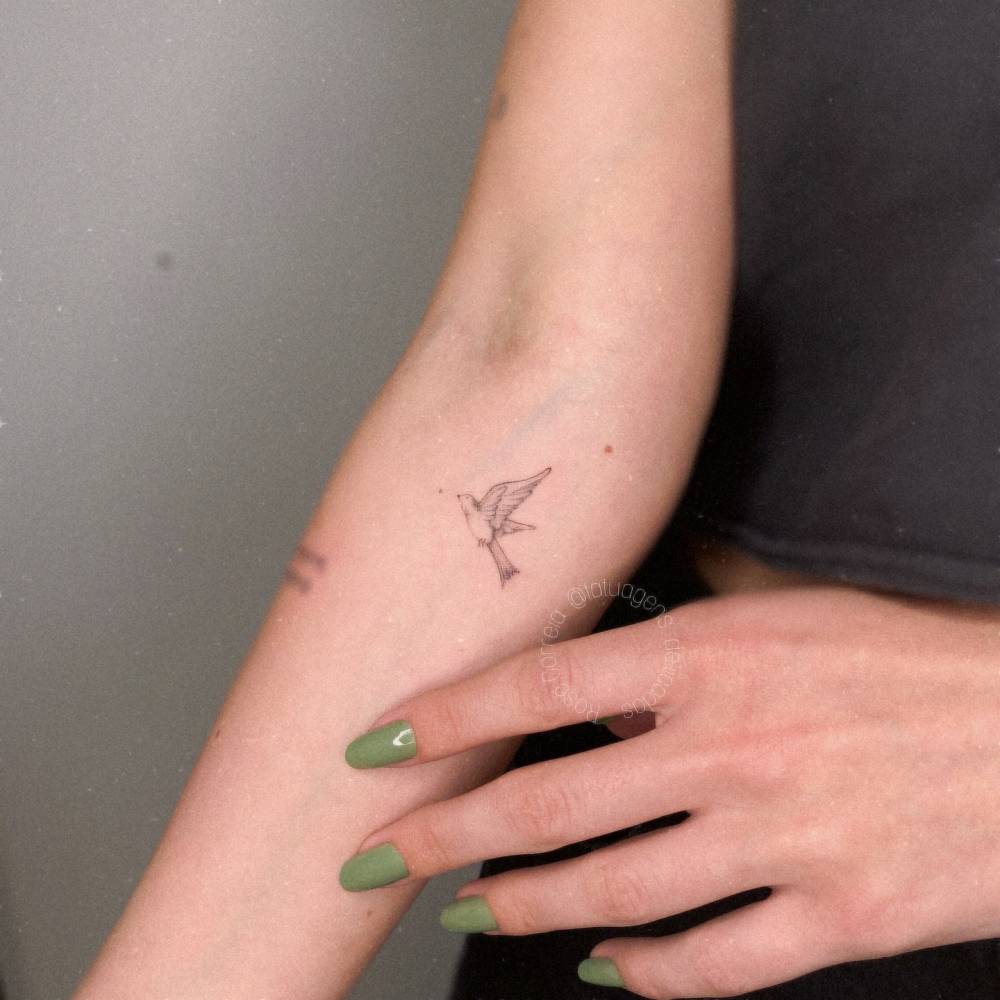Illustrative style bird tattoo located on the inner forearm.