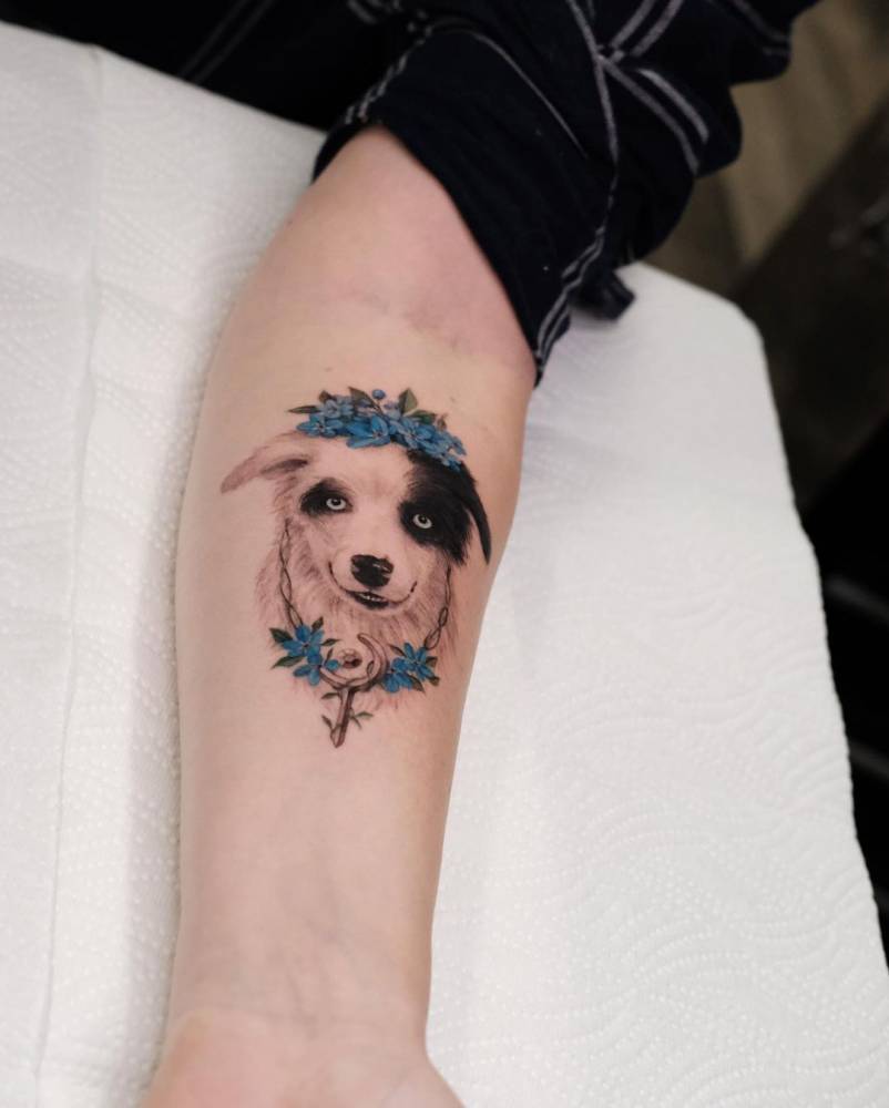 Border collie portrait tattoo located on the inner forearm.