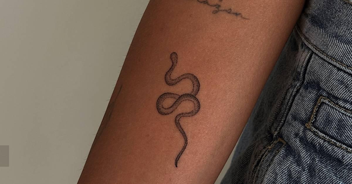 Tiny illustrative style snake tattoo located on the