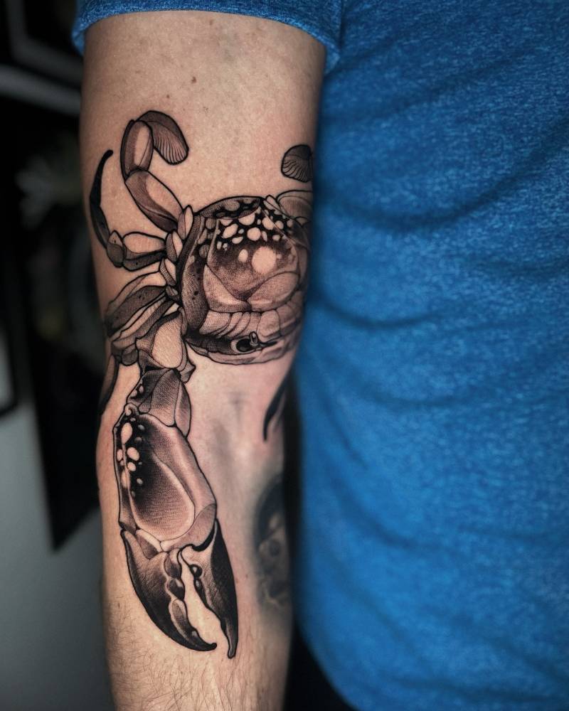 Neotraditional style crab tattoo done on the arm.