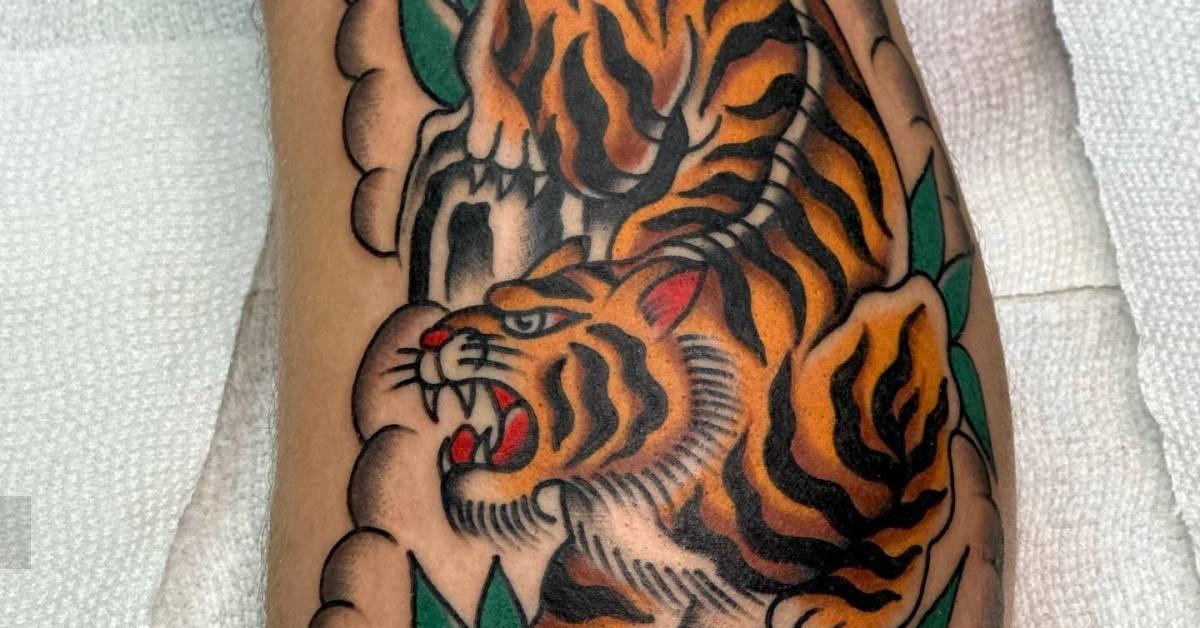 Tiger tattoo in traditional style located on the calf.