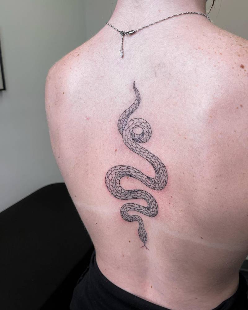 Fine line style snake tattoo placed on the back.