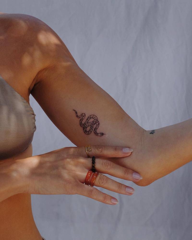 Fine line snake tattoo located on the inner arm.