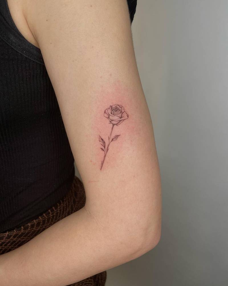 Rose tattooed on the upper arm, done in fine line.