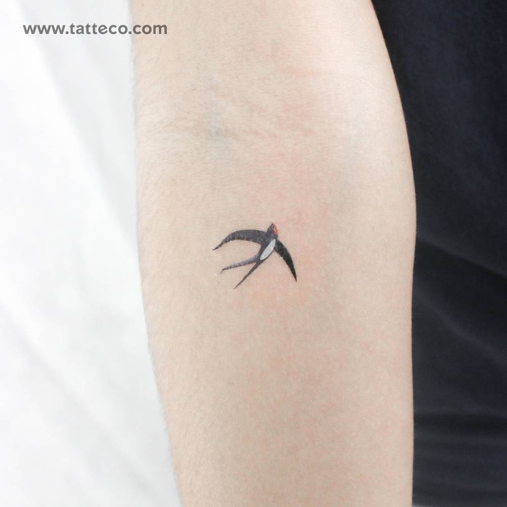 Watercolor style swallow by Ann Lilya temporary tattoo.