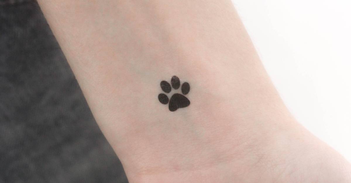Dog paw print temporary tattoo located on the wrist.