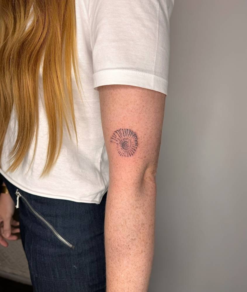 Ammonite shell tattoo located on the upper arm, illustrative style.