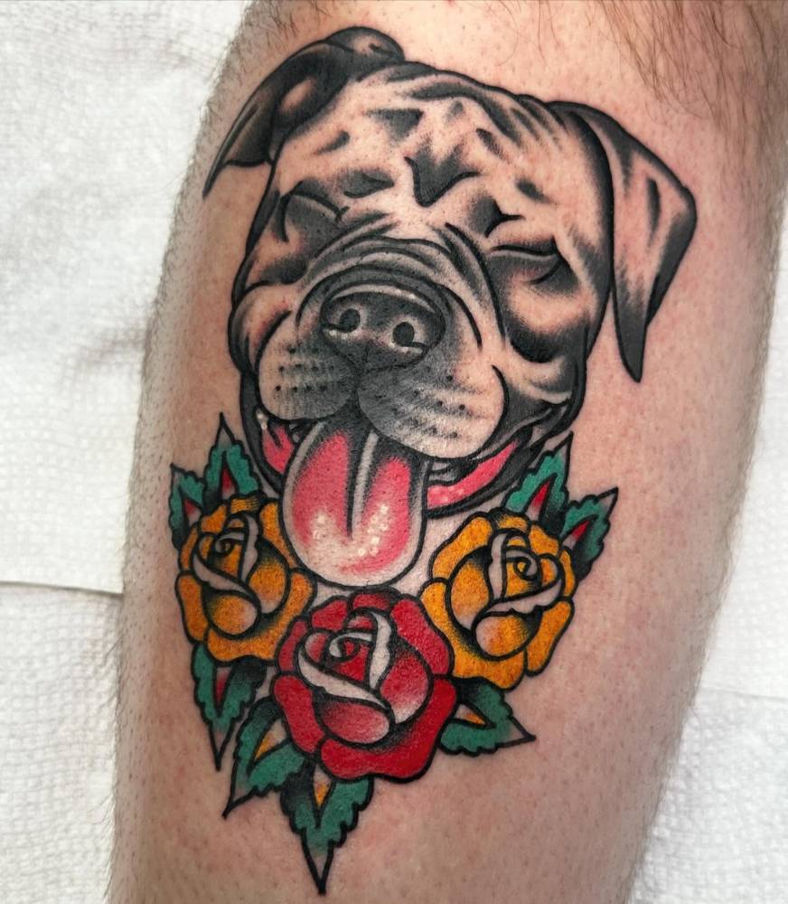 Pit Bull portrait tattoo in traditional style done on the thigh.