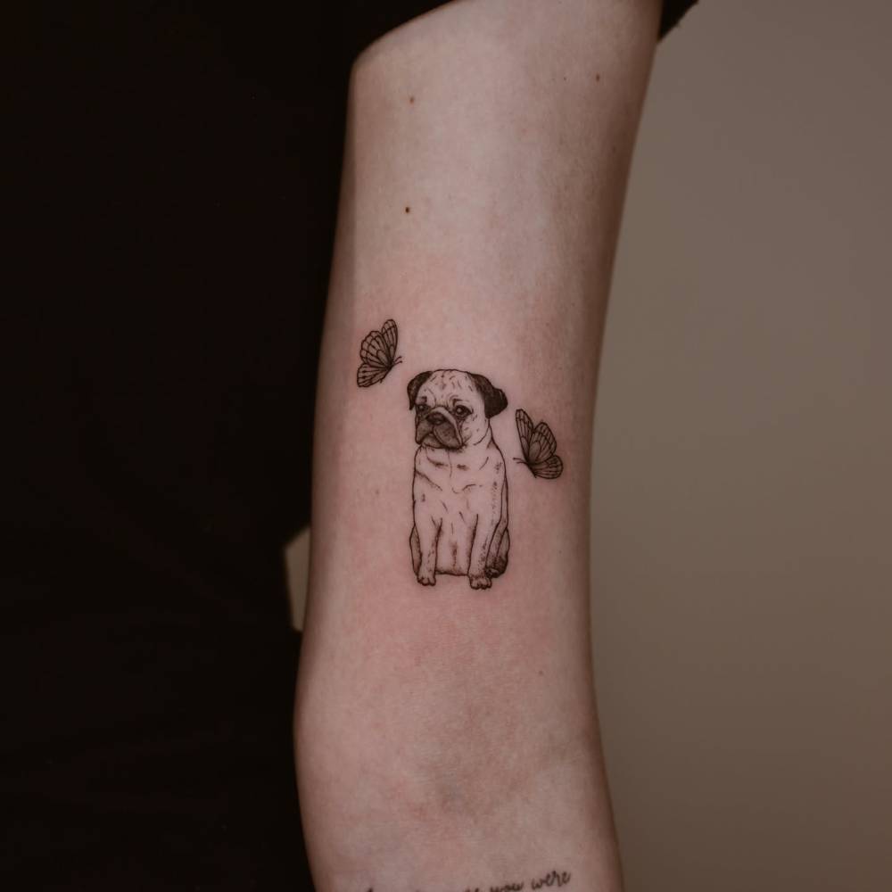 Illustrative style pug and butterflies tattoo located on the bicep.