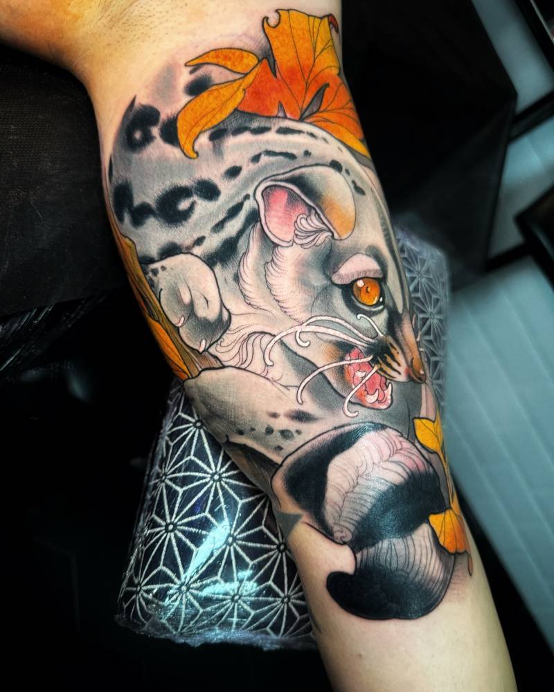 Common genet tattoo in neotraditional style located on the inner arm.