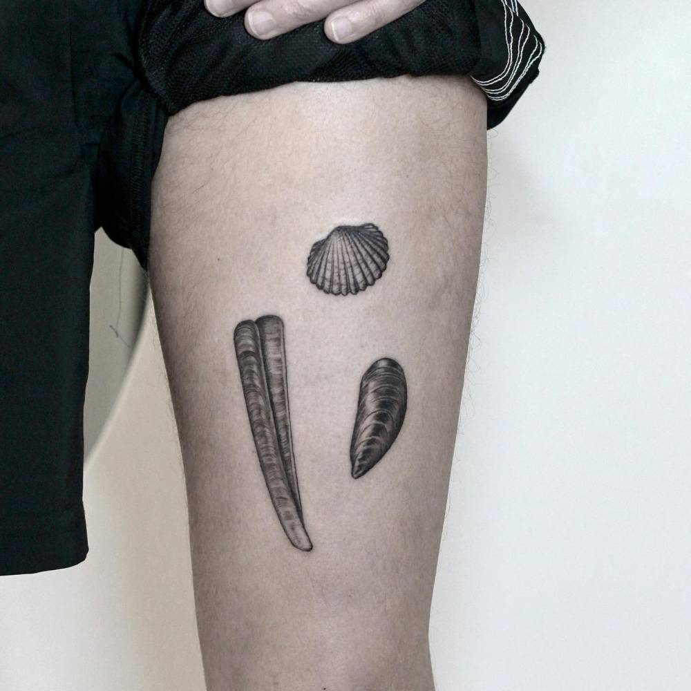 Illustrative style shell collection tattoo located on the thigh.