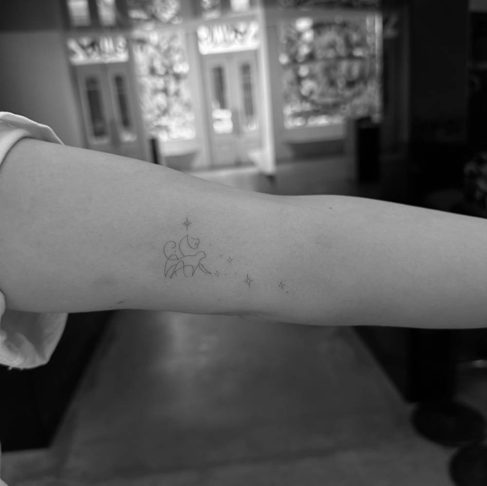 Continuous line cat ans stars tattoo located on the inner arm.