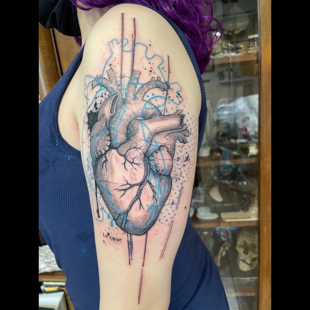 Anatomical heart tattoo located on the upper arm, done in graphic style.