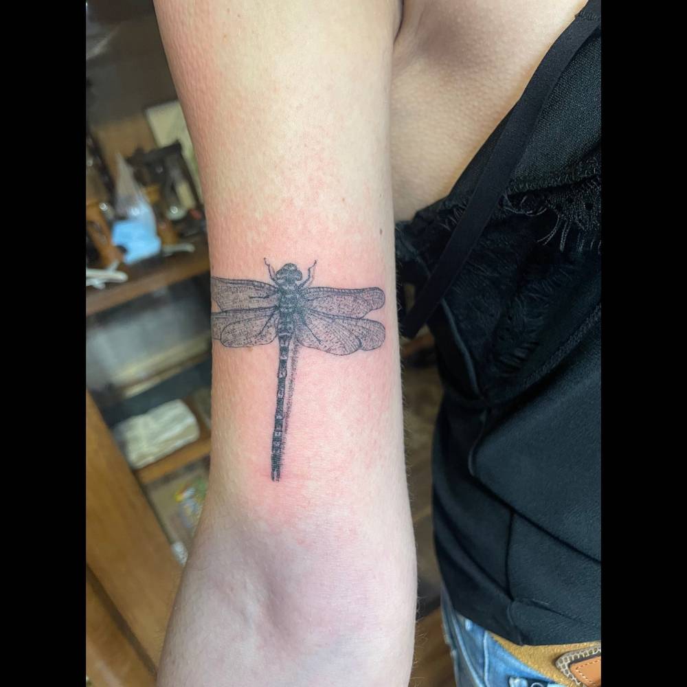 Dragonfly tattoo in illustrative style located on the bicep.