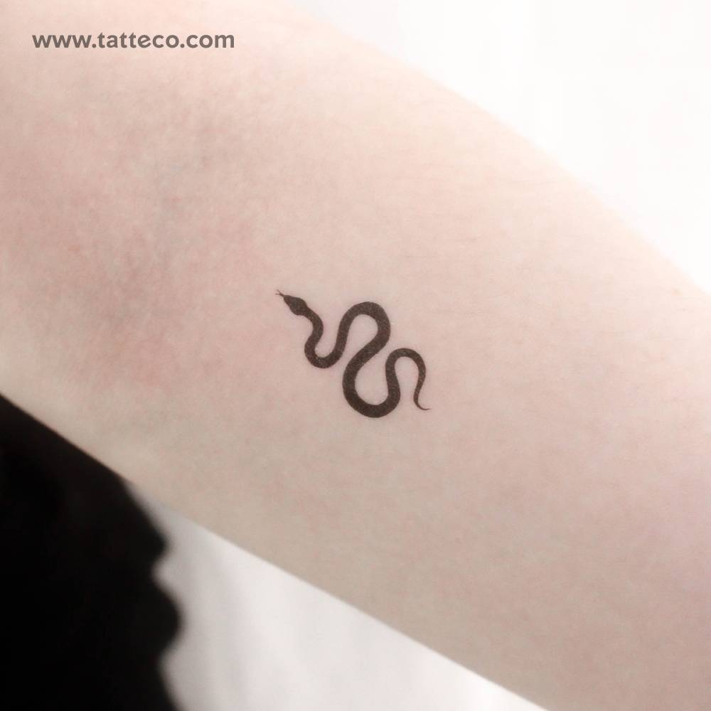 Small minimalistic black snake temporary tattoo located on the inner forearm.