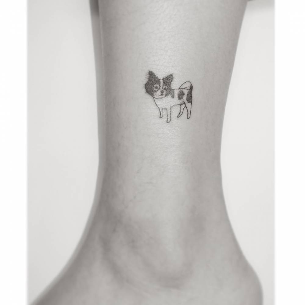 Chihuahua tattoo in illustrative style placed on the ankle.